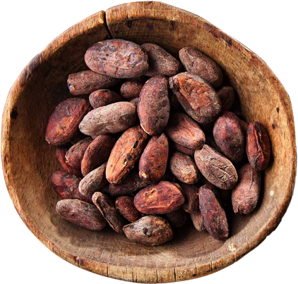 Cooperative, Goground Beans &spices - Comment On Fabrique Le Chocolat (435x410), Png Download