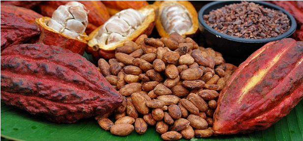 Mars Cocoa - Cacao Chocolate (615x350), Png Download