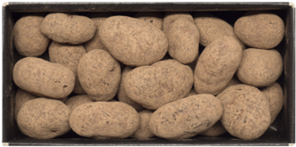 Pebble (600x500), Png Download