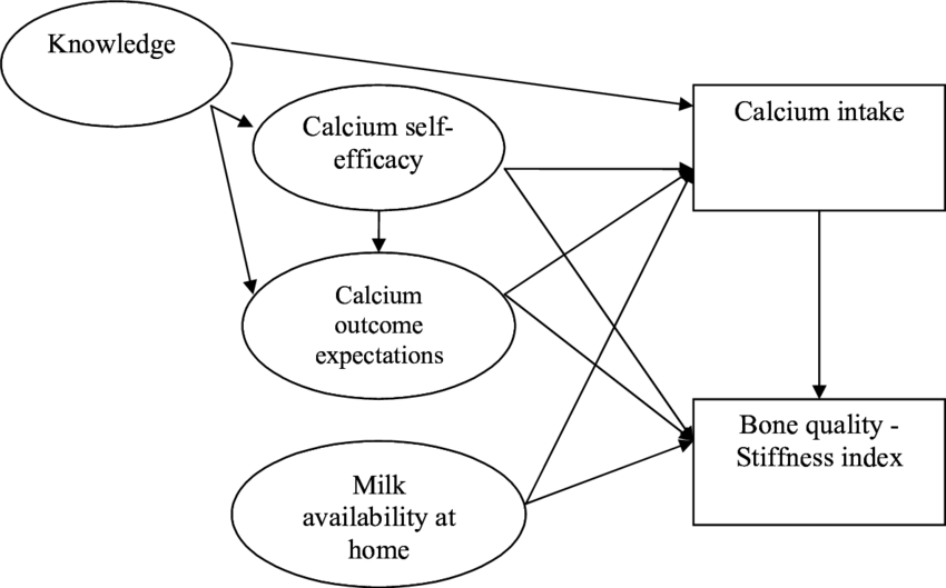 Hypothesized Pathways Between The Psychosocial Variables - Korg (850x529), Png Download