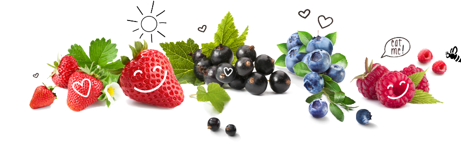 This Natural Berry Expanded In South America Has Lots - Sauna-duftkonzentrat Schwarze Johannisbeere (944x311), Png Download