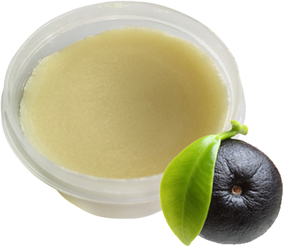 Acai Berry (500x432), Png Download