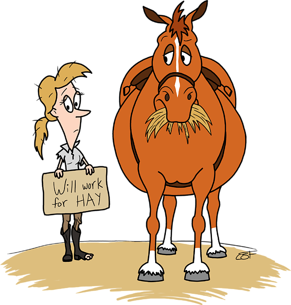 Bleed Area May Not Be Visible - New Forest Horses Funny (600x629), Png Download