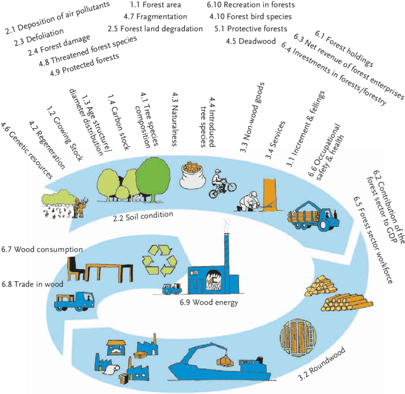 Current Pan-european Indicators For Sustainable Forest - Forest (850x811), Png Download