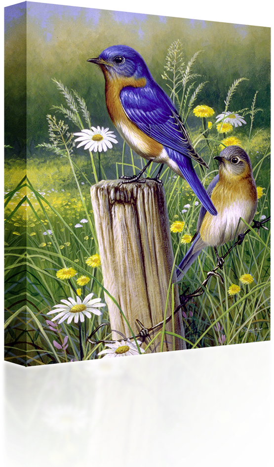 Bluebirds - River's Edge Chickadee Design Gift Bag, Medium/10x13x5-inch (1024x1024), Png Download