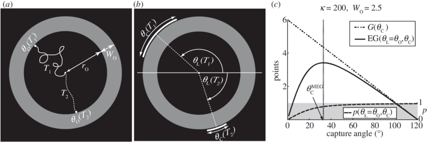 The Participant First Viewed A Small Dot That Moved - Circle (850x291), Png Download