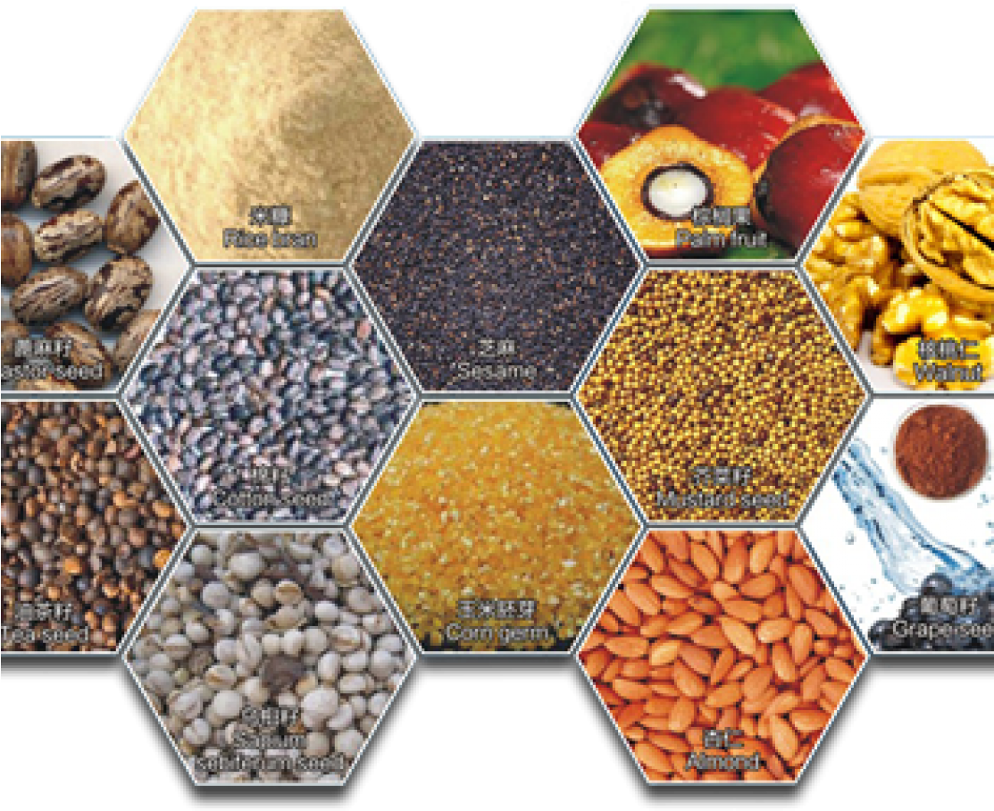 Why Does Edible Oil Have Different Condensation Point - Food Oil Banner Png (1112x998), Png Download