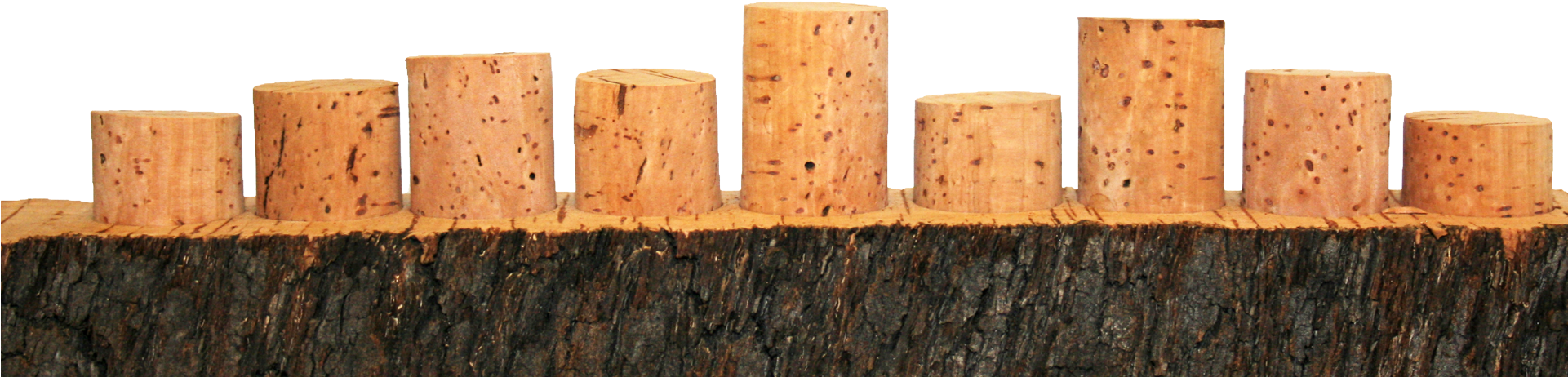 Cork Process Quality Assurance Cork Process Slide Background - Lumber (1920x470), Png Download