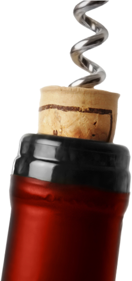 Broker (290x565), Png Download