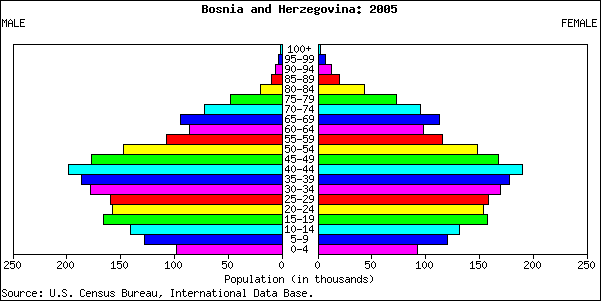 Bosnia Her Population Pyramid 2005 - Us Population Pyramid 2005 (601x301), Png Download
