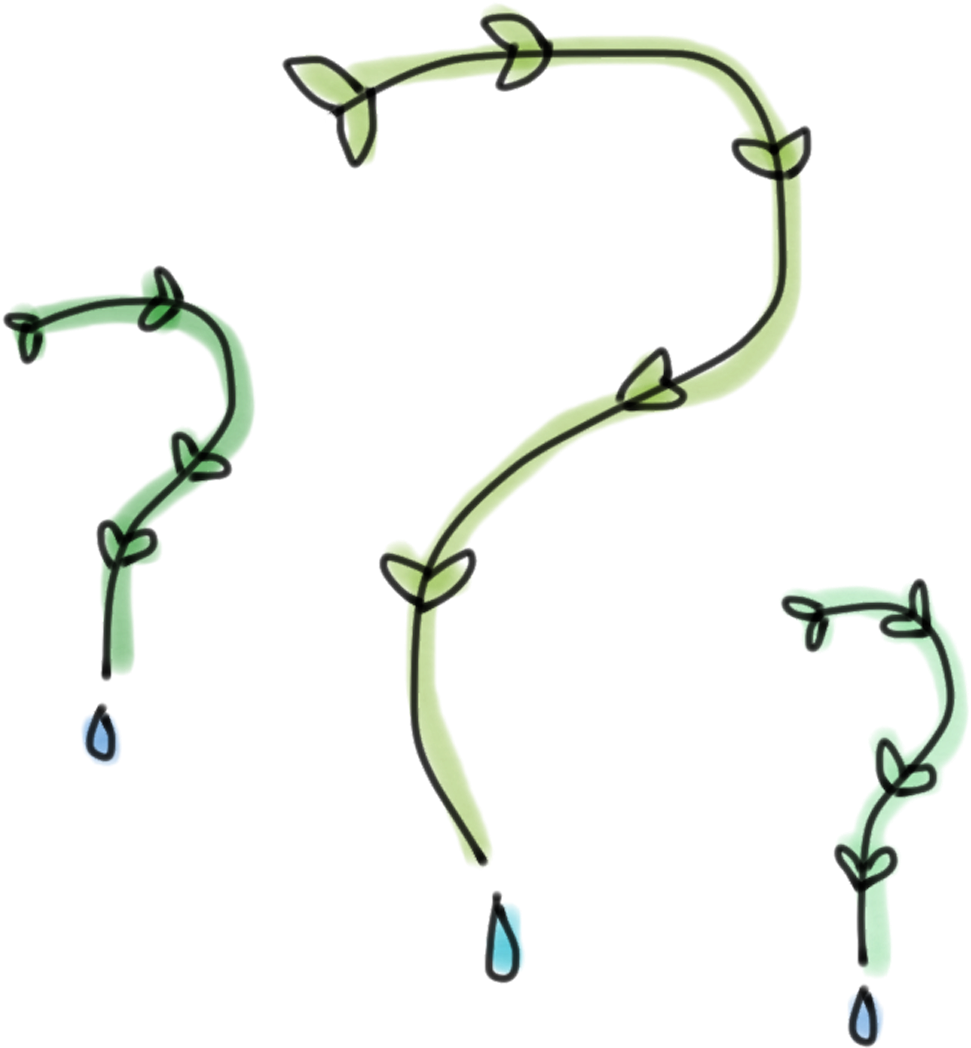 Yellow Days Question Mark Drawing - Drawing (2048x1536), Png Download