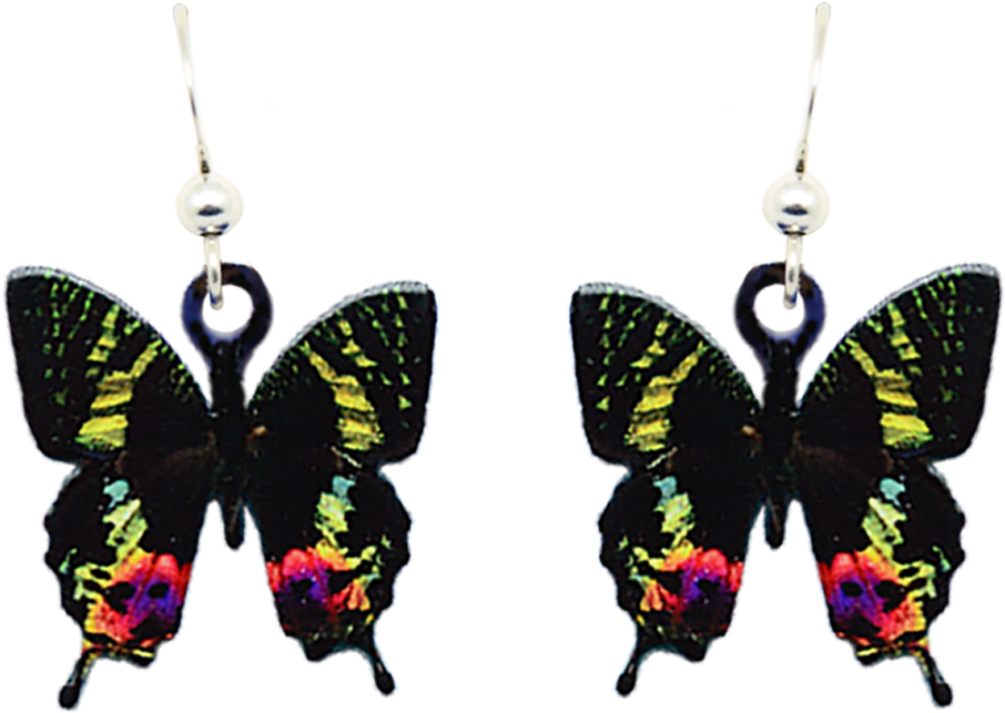 Sunset Moth - Portable Network Graphics (1000x1000), Png Download