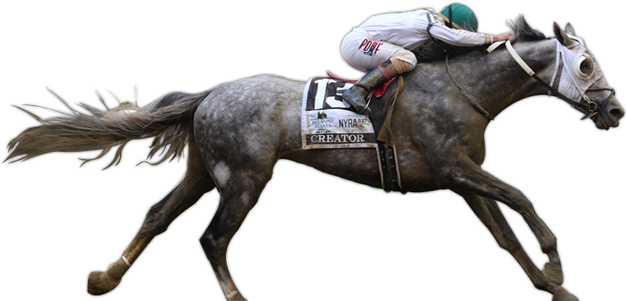Creator Wins The G1 Belmont Stakes - Horse Racing Cut Out (900x550), Png Download