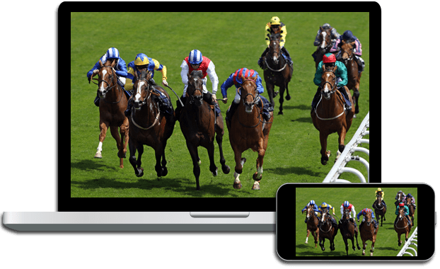 Live Horse Racing On Dish - Coast Guard Rank O-2 Lieutenant Junior Grade Sticker (622x380), Png Download