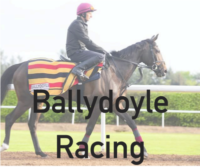 Horse (400x333), Png Download