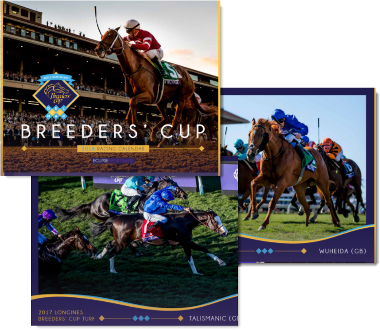 Breeders' Cup Calendar - Breeders' Cup (798x691), Png Download