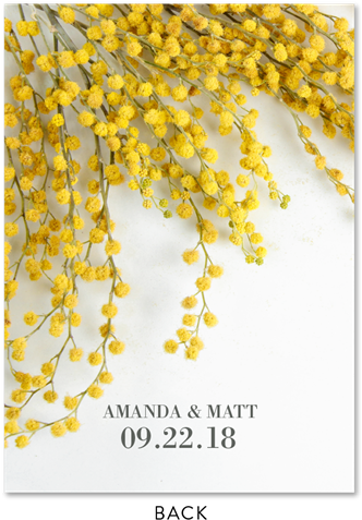 Sweet Acacia Flower Wedding Invitations With Yellow - Mimosa Invitations (525x525), Png Download