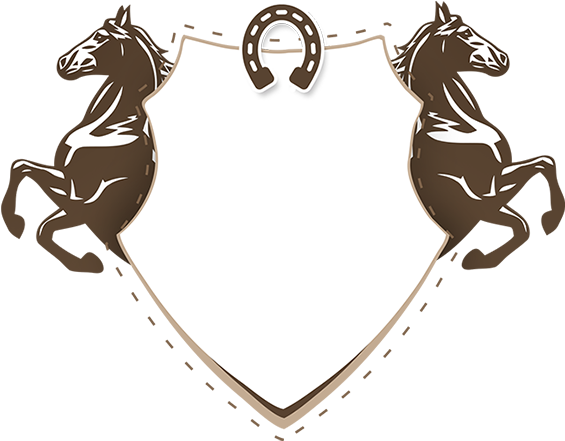 Veja O Que Temos Para Frame Cavalo Pony, Horse Farms, - Horseshoe (930x617), Png Download