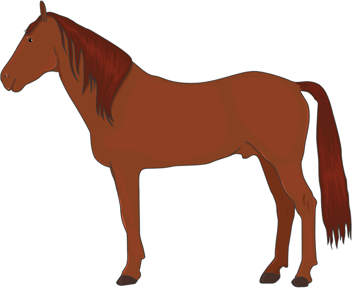 Cavalo - Лошадь Вектор Пнг (722x594), Png Download