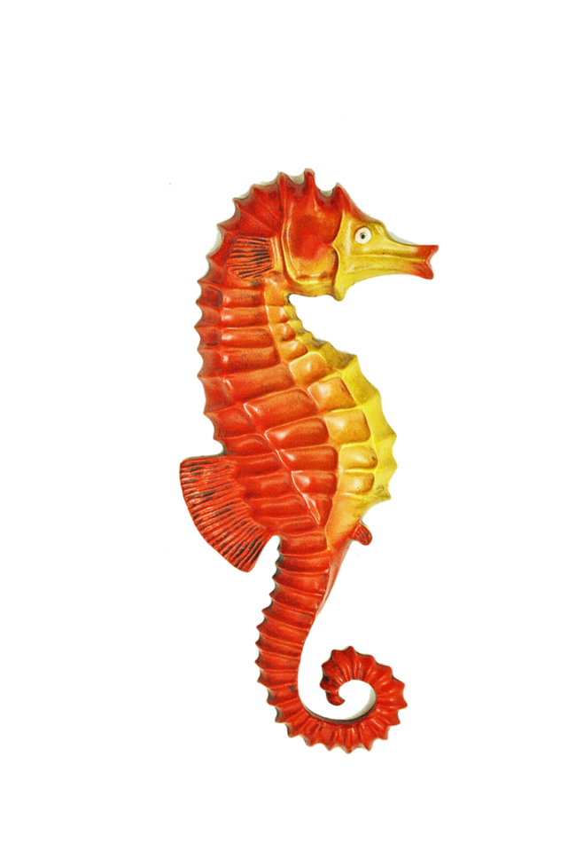 Cavalo Marinho Em Fibra Ref - Cavalo Marinho (640x960), Png Download
