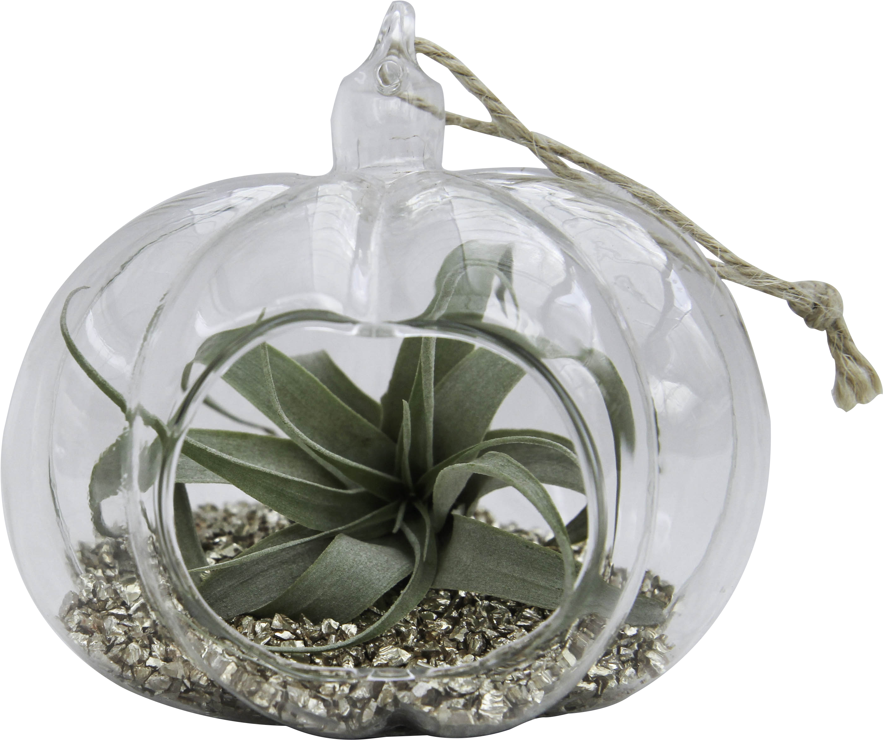 Quick View - Pumpkin (3192x2968), Png Download