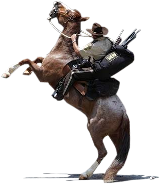 I41fuv - Cavalo The Walking Dead (504x534), Png Download