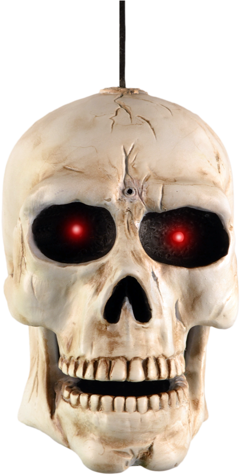 Demo Video Contact Us Enlarge Photo - Potomac Banks Bundle: 2 Items - Singing Animated Skull (1000x1000), Png Download