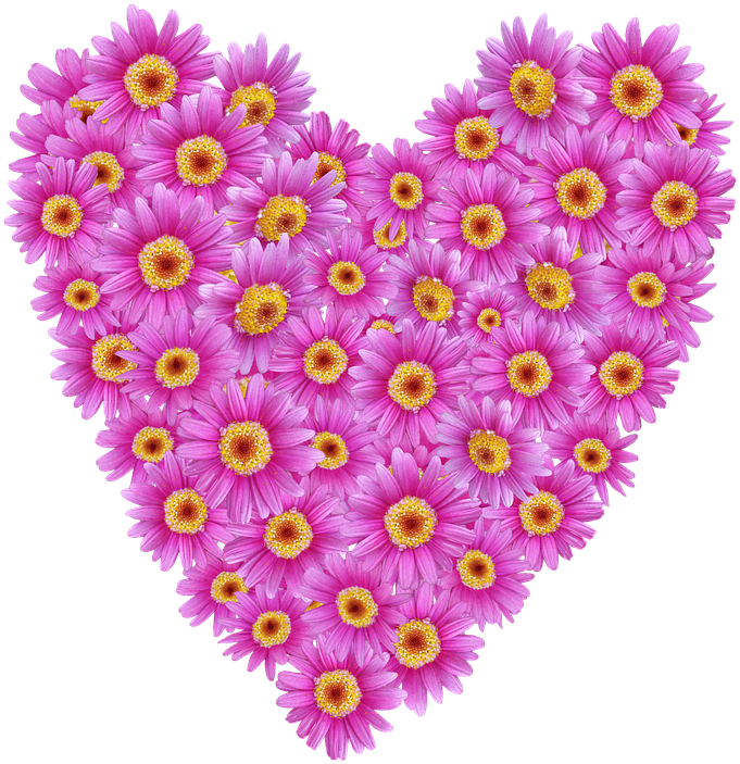 Daisies, Heart, Valentine, Romantic, Floral - Heart (720x720), Png Download