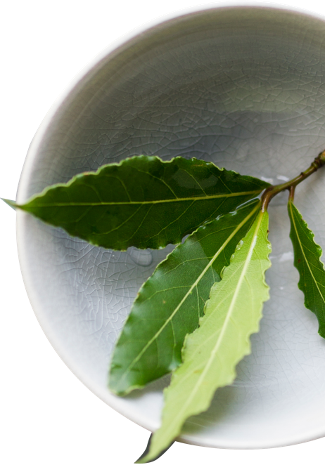 Lifestyle Changes You Can Make To Prevent Disease And - Sweet Birch (462x662), Png Download