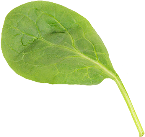 Award Winning Innovation - Home Page (496x500), Png Download