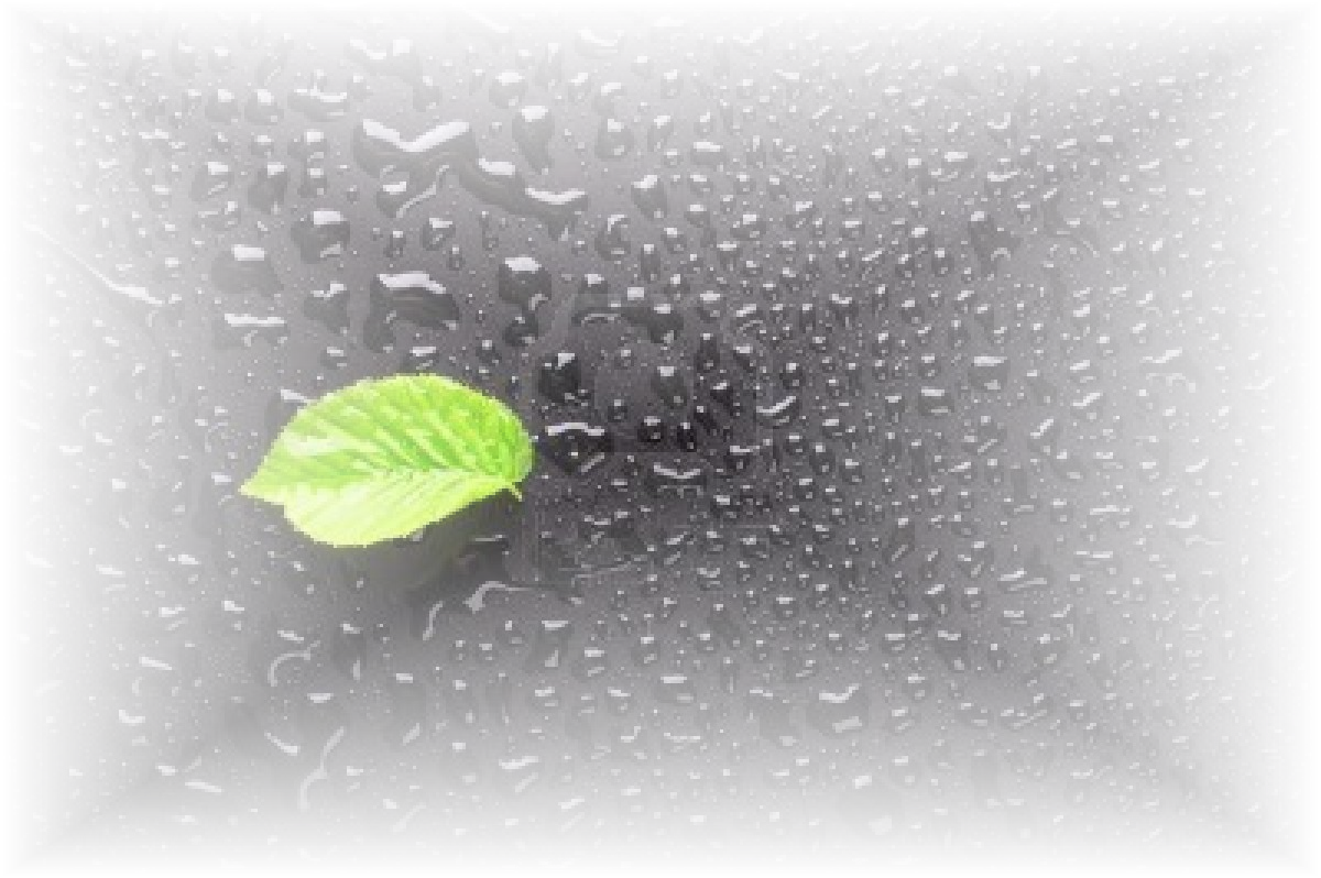 Lluvia - Memory (1200x798), Png Download