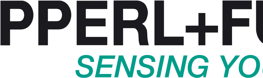 Custom Categories - Clients - Pepperl Fuchs Logo (850x500), Png Download