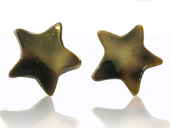 Oído Shell Enchufa Patrón De Estrella Blanca Marrón - Muschel Ohrstecker Stern Braun Weiß Muster 925er Sterlingsilber (350x263), Png Download