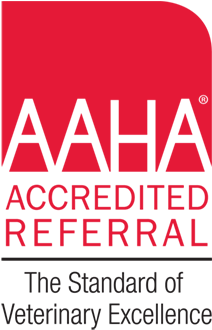 Eyeshine Veterinary Is An Aaha Accredited Referral - American Animal Hospital Association (300x413), Png Download