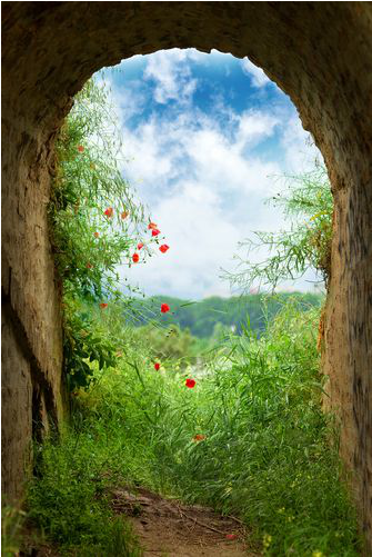 Green Archway With Red Splash - Songs Of Lent - Cd (450x500), Png Download
