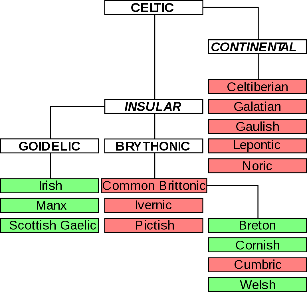 Celtic Language Family Tree (1076x1024), Png Download