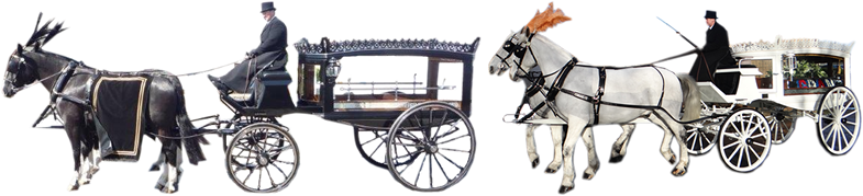 01294 552213 - Horse And Carriage Png (785x179), Png Download