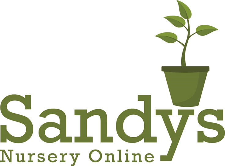 Sandys Nursery Online - Rainbow Comedy Playhouse (736x544), Png Download