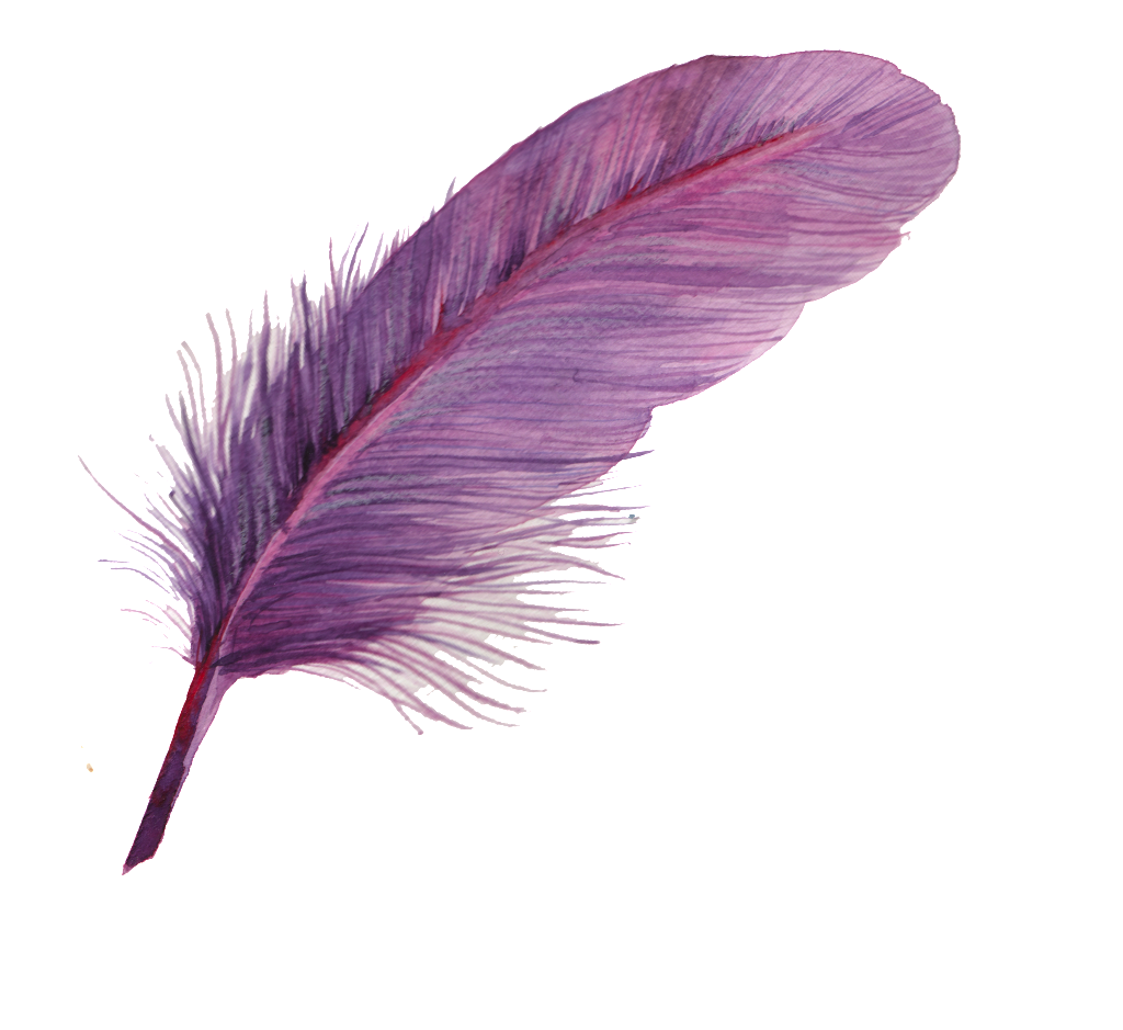 Can Purple Feather Transparent Decorative - Pluma Acuarela Png (1024x939), Png Download