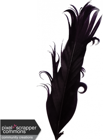 Purple Feather - Headpiece (456x456), Png Download