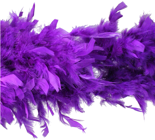 Image - Hayes Specialties Corp. Purple Feather Boa (500x573), Png Download