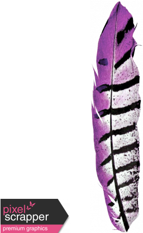 Kenya Elements Feather Purple - Ptm Images Bird Feathers Ii Graphic Art Plaque (456x456), Png Download