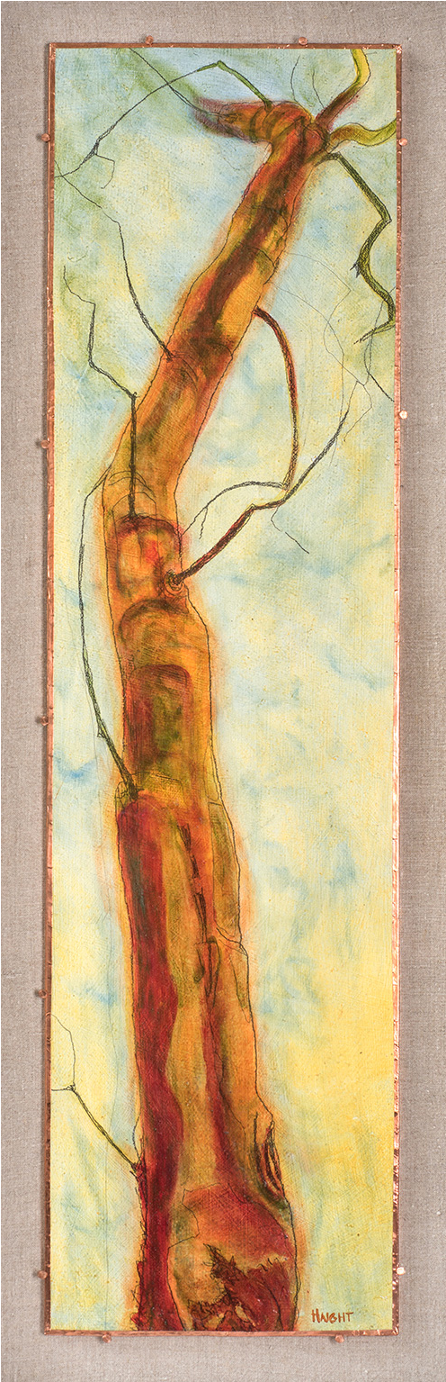 Arborvitae Xii, 38" - Arborvitae (1000x1534), Png Download