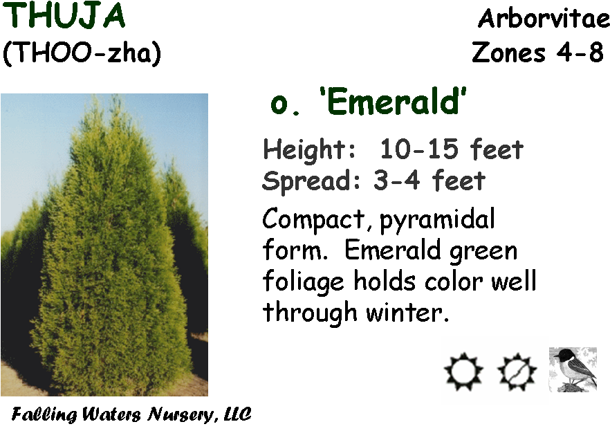 Version - - Funny Quotes (912x638), Png Download