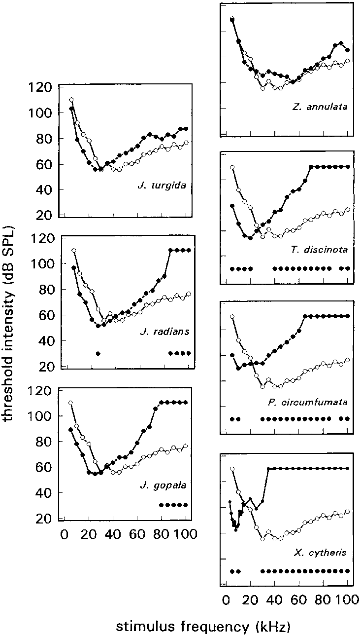 Statistical Comparisons Of Median Audiograms Of The - Statistics (731x1287), Png Download