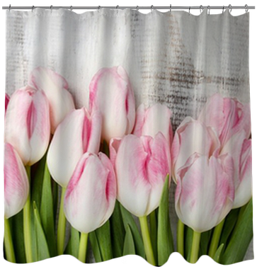 Beautiful Pink And White Tulips On Wooden Background - Cute Beaver Pond Shower Curtain Color Animal Themed (400x400), Png Download