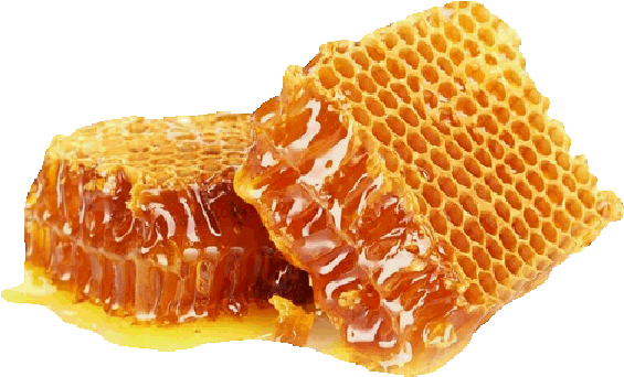 Dancing Bees And Fruitful Trees Now We Make Soap For - Honey Natural (606x422), Png Download