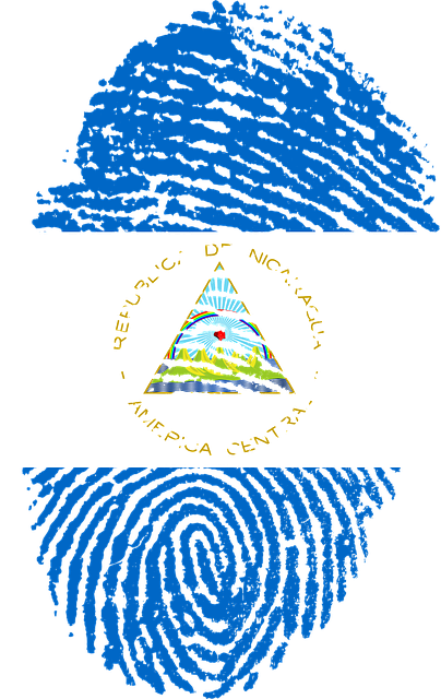 Descargue Esta Imagen Gratuita Sobre Nicaragua Bandera - Digital Identidade (404x640), Png Download