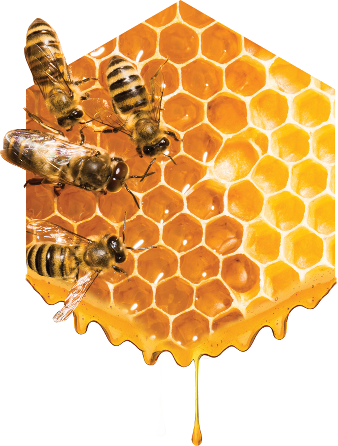 Unparalleled Customer Service - Miel De Abeja (676x893), Png Download