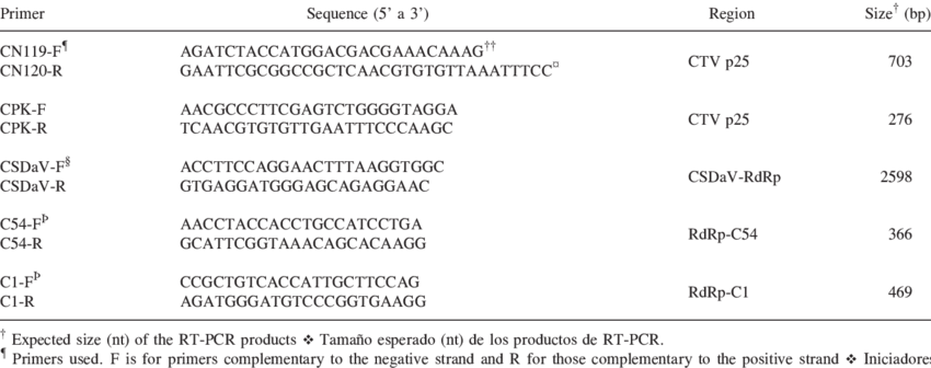 Specifics Primers Used To Detect Citrus Tristeza Virus - Secuencia De Un Gen (850x336), Png Download